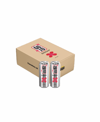 Canettes Bissap - Pack de 6x25cl